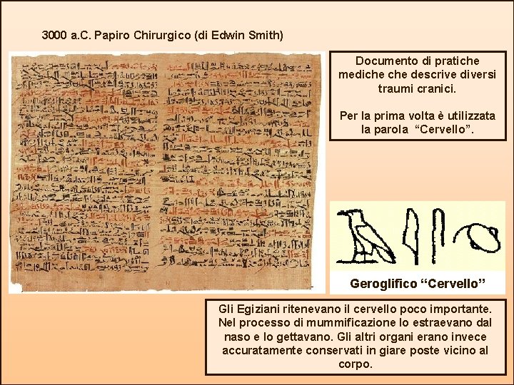 3000 a. C. Papiro Chirurgico (di Edwin Smith) Documento di pratiche mediche descrive diversi