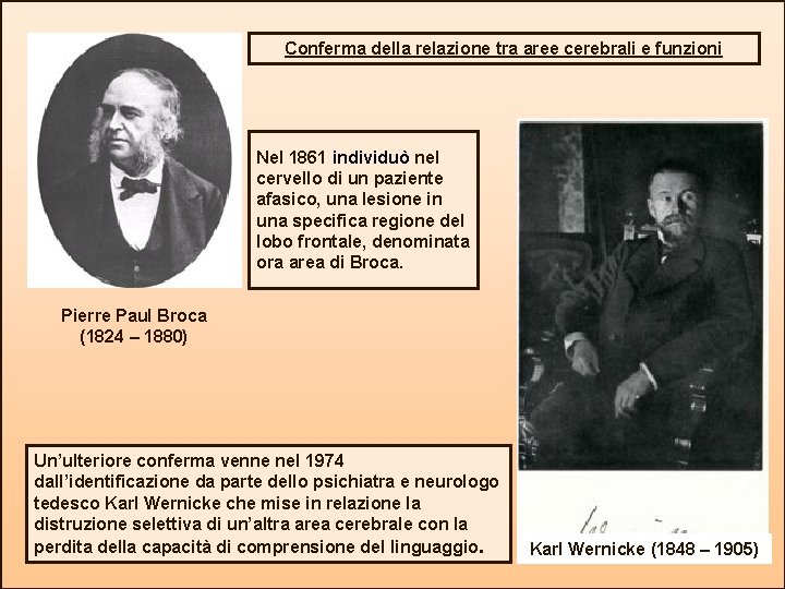 Conferma della relazione tra aree cerebrali e funzioni Nel 1861 individuò nel cervello di