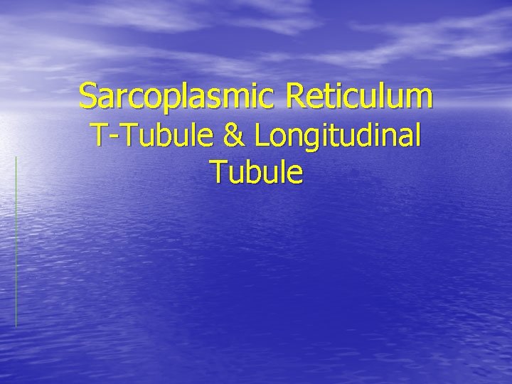 Sarcoplasmic Reticulum T-Tubule & Longitudinal Tubule 