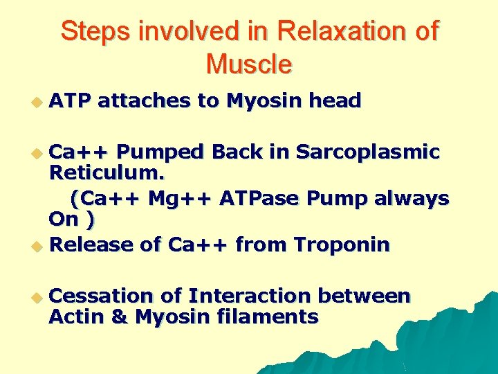 Steps involved in Relaxation of Muscle u ATP attaches to Myosin head Ca++ Pumped