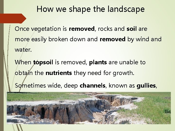 How we shape the landscape Once vegetation is removed, rocks and soil are more