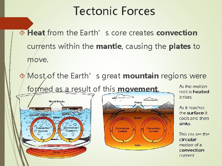 Tectonic Forces Heat from the Earth’s core creates convection currents within the mantle, causing