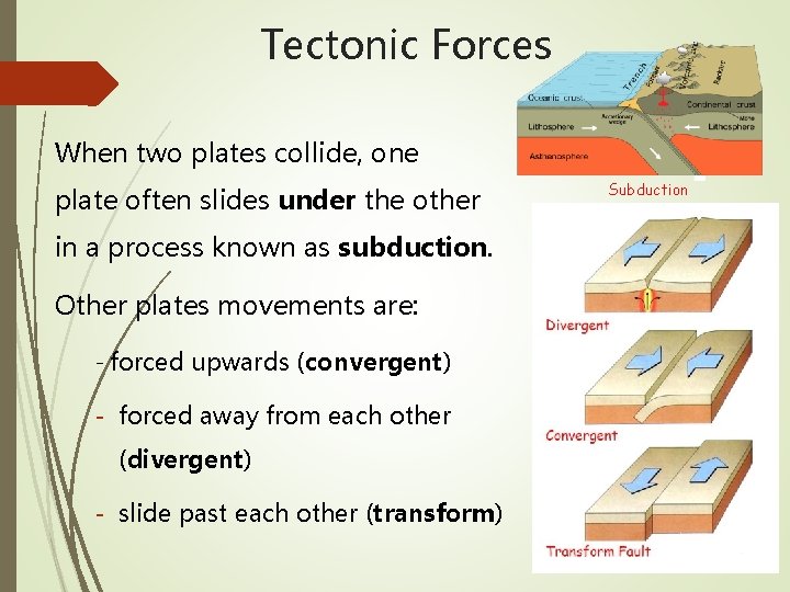 Tectonic Forces When two plates collide, one plate often slides under the other in