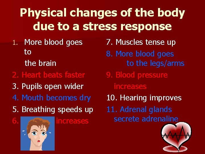Physical changes of the body due to a stress response More blood goes to