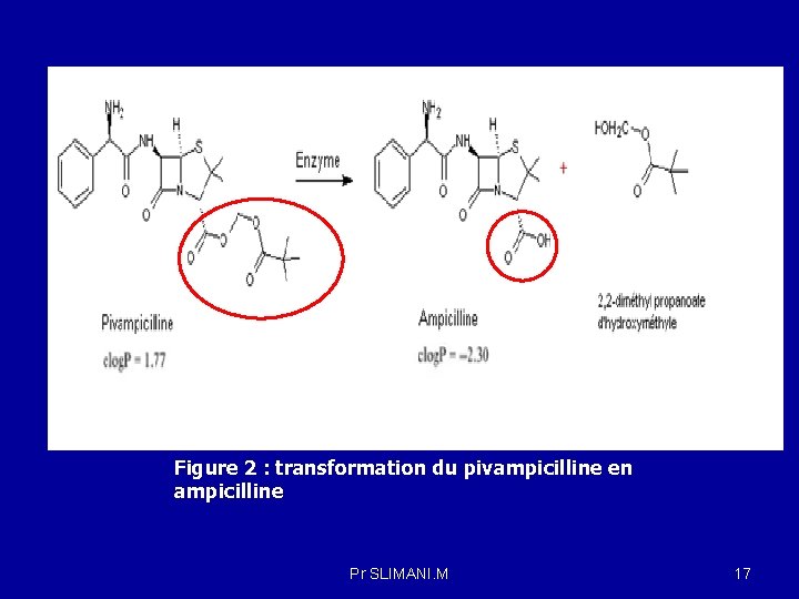 Figure 2 : transformation du pivampicilline en ampicilline Pr SLIMANI. M 17 