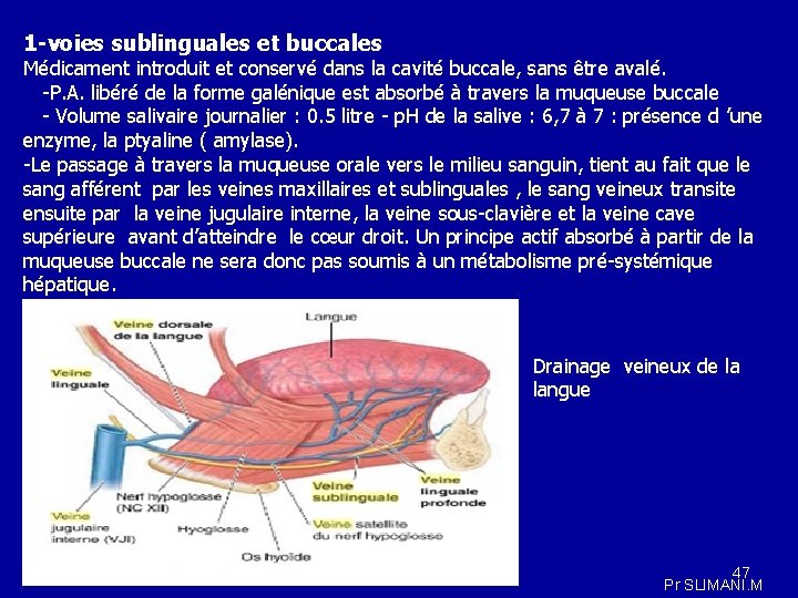 1 -voies sublinguales et buccales Médicament introduit et conservé dans la cavité buccale, sans