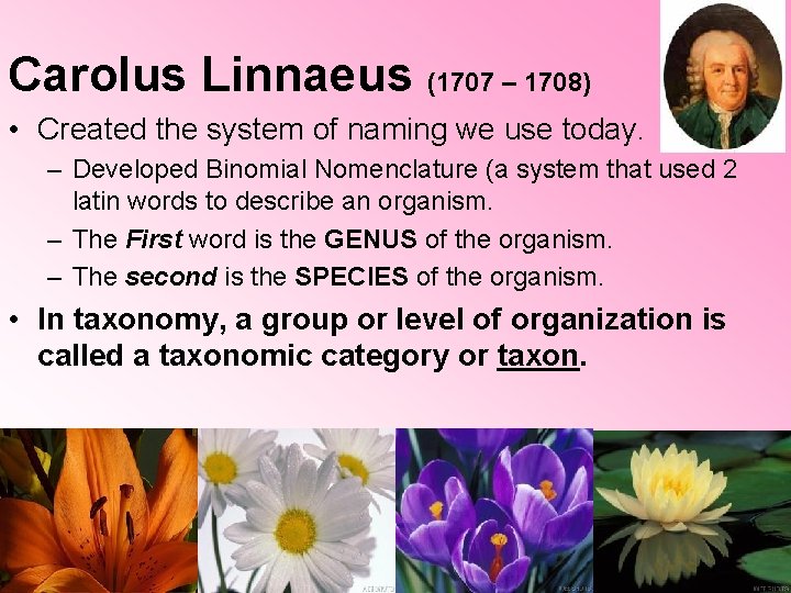 Carolus Linnaeus (1707 – 1708) • Created the system of naming we use today.