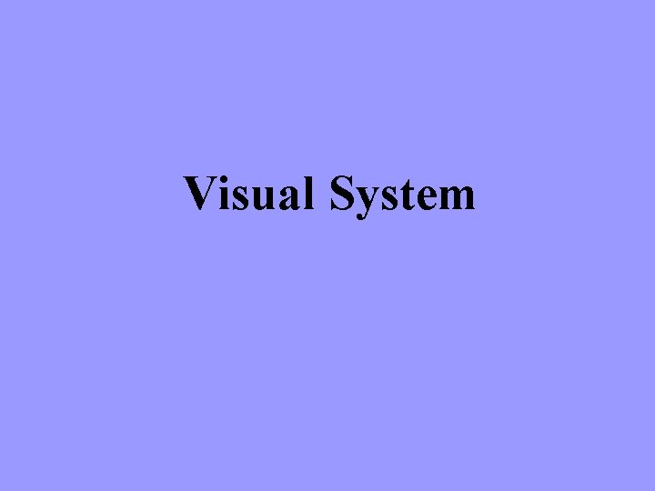 Visual System 