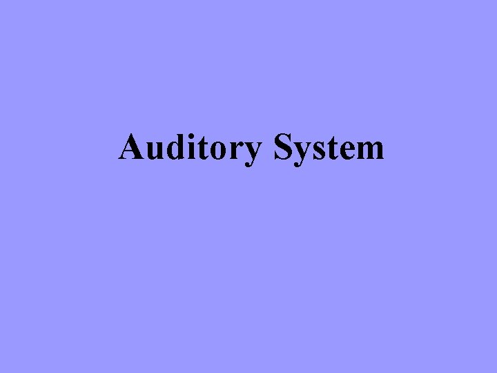Auditory System 