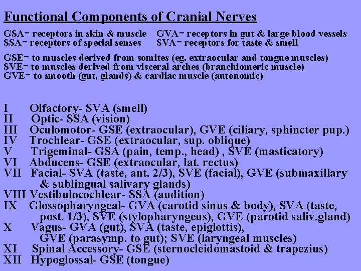 Functional Components of Cranial Nerves GSA= receptors in skin & muscle GVA= receptors in