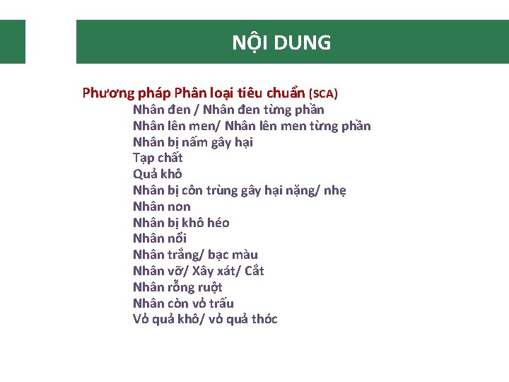 NỘI DUNG Phương pháp Phân loại tiêu chuẩn (SCA) Nhân đen / Nhân đen