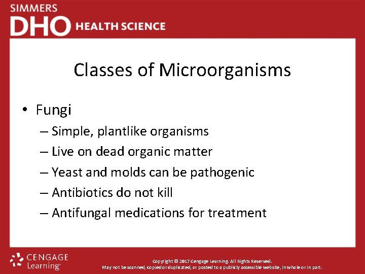 Classes of Microorganisms • Fungi – Simple, plantlike organisms – Live on dead organic