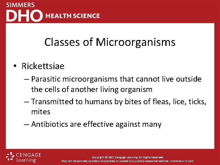Classes of Microorganisms • Rickettsiae – Parasitic microorganisms that cannot live outside the cells