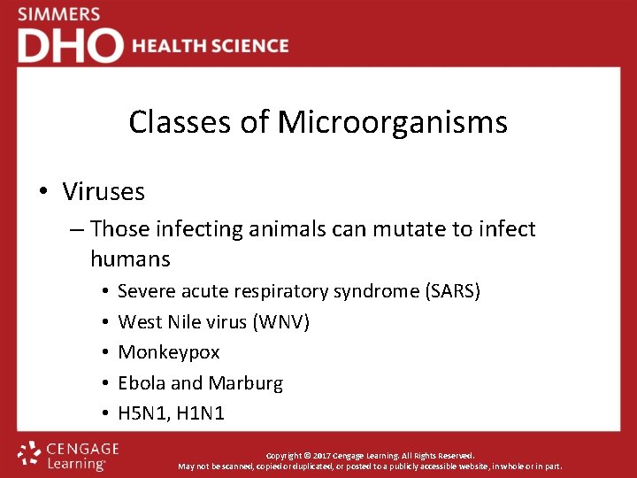 Classes of Microorganisms • Viruses – Those infecting animals can mutate to infect humans