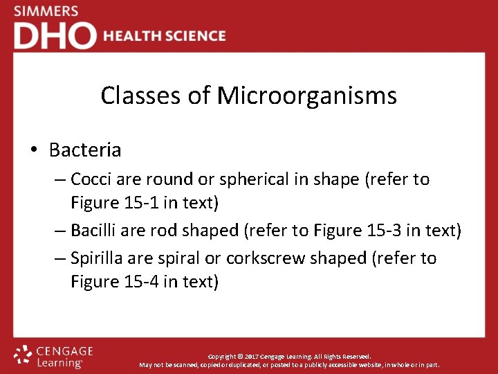 Classes of Microorganisms • Bacteria – Cocci are round or spherical in shape (refer