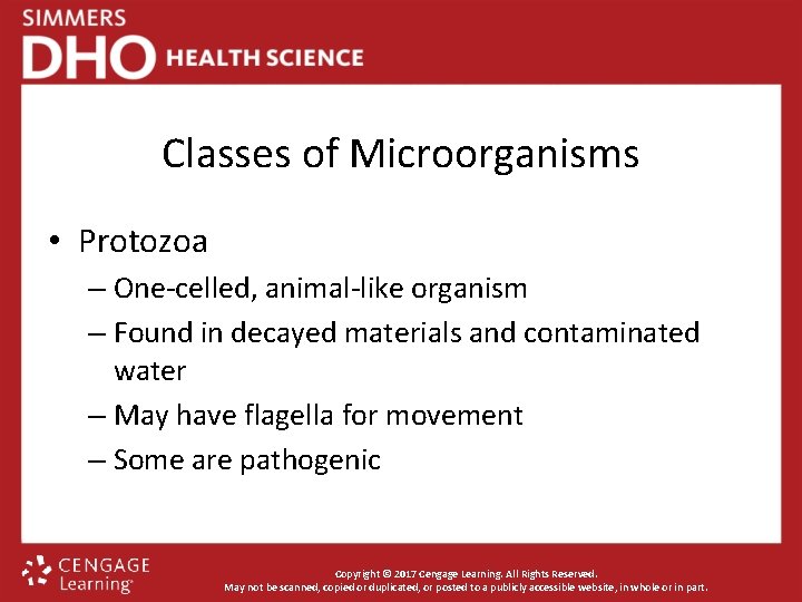 Classes of Microorganisms • Protozoa – One-celled, animal-like organism – Found in decayed materials