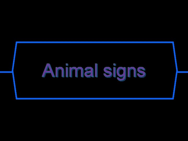 Animal signs 