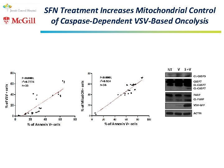 SFN Treatment Increases Mitochondrial Control of Caspase-Dependent VSV-Based Oncolysis P<0. 0001 r 2=0. 7774