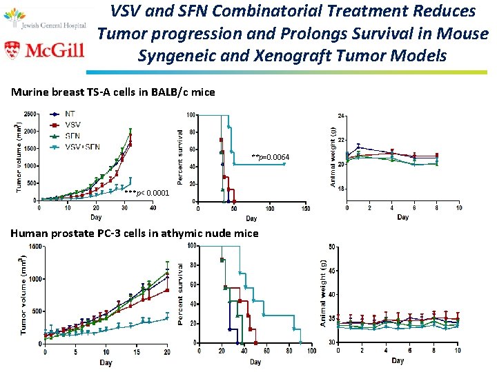 VSV and SFN Combinatorial Treatment Reduces Tumor progression and Prolongs Survival in Mouse Syngeneic