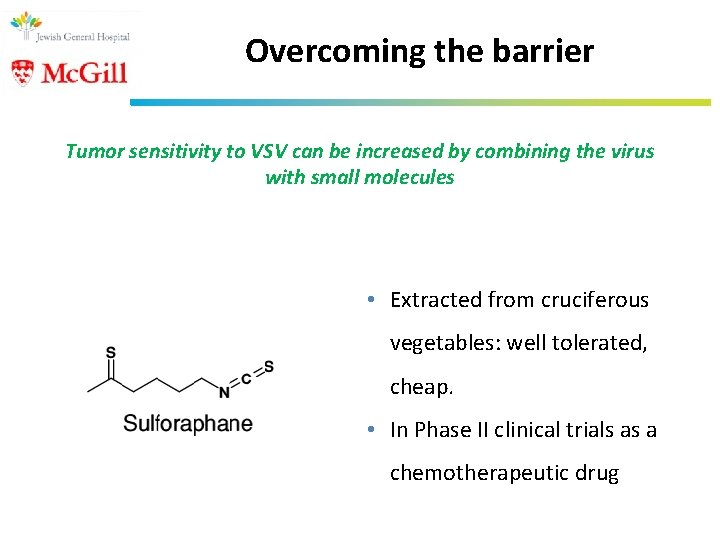 Overcoming the barrier Tumor sensitivity to VSV can be increased by combining the virus