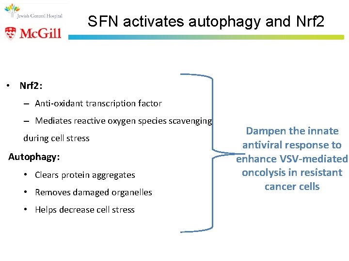 SFN activates autophagy and Nrf 2 • Nrf 2: – Anti-oxidant transcription factor –