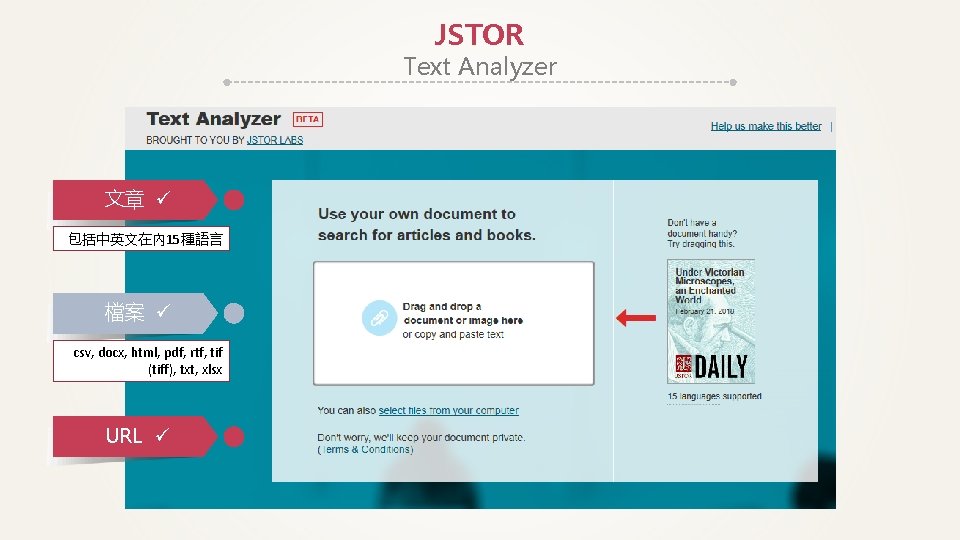 JSTOR Text Analyzer 文章 包括中英文在內 15種語言 檔案 csv, docx, html, pdf, rtf, tif (tiff),