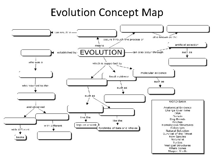 Evolution Concept Map 