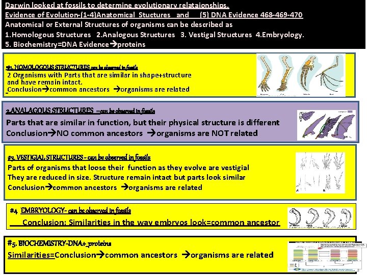 Darwin looked at fossils to determine evolutionary relataionships. Evidence of Evolution-(1 -4)Anatomical Stuctures and