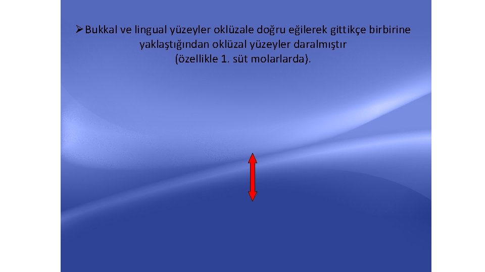 ØBukkal ve lingual yüzeyler oklüzale doğru eğilerek gittikçe birbirine yaklaştığından oklüzal yüzeyler daralmıştır (özellikle ØBukkal ve lingual yüzeyler oklüzale doğru eğilerek gittikçe birbirine yaklaştığından oklüzal yüzeyler daralmıştır (özellikle
