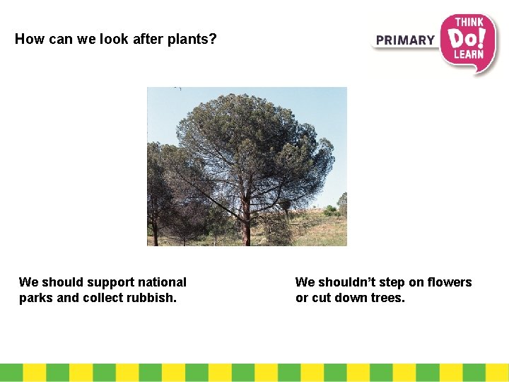 How can we look after plants? We should support national parks and collect rubbish.