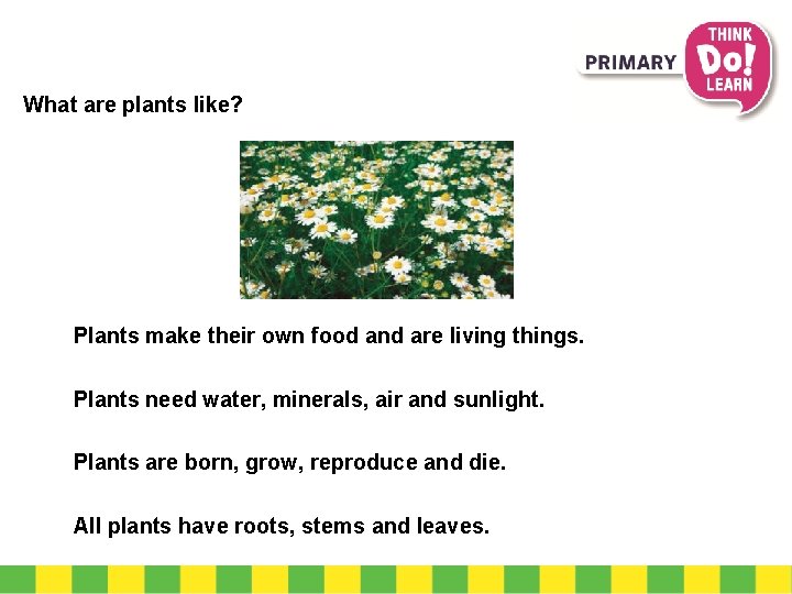 What are plants like? Plants make their own food and are living things. Plants