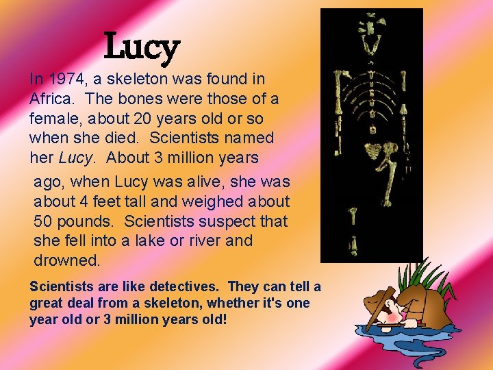 Lucy In 1974, a skeleton was found in Africa. The bones were those of