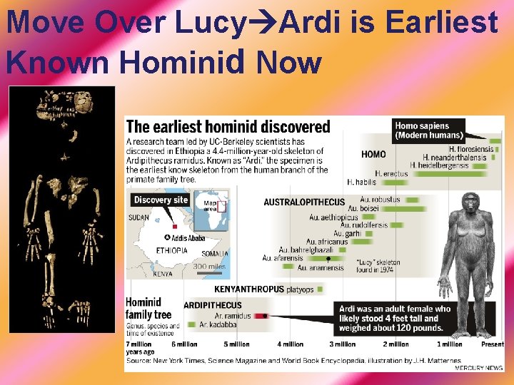 Move Over Lucy Ardi is Earliest Known Hominid Now 