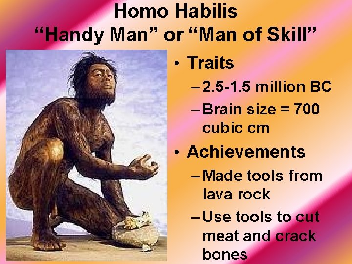 Homo Habilis “Handy Man” or “Man of Skill” • Traits – 2. 5 -1.