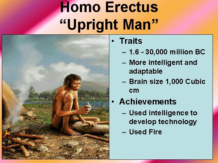 Homo Erectus “Upright Man” • Traits – 1. 6 - 30, 000 million BC