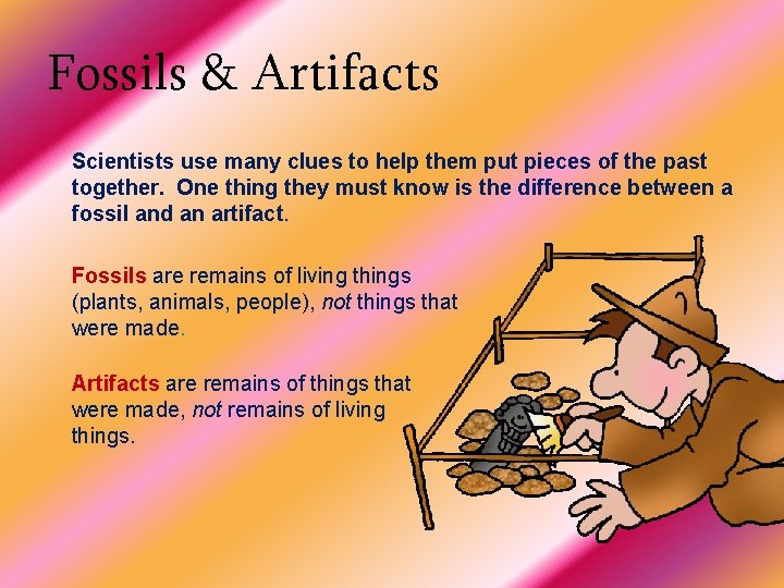 Fossils & Artifacts Scientists use many clues to help them put pieces of the