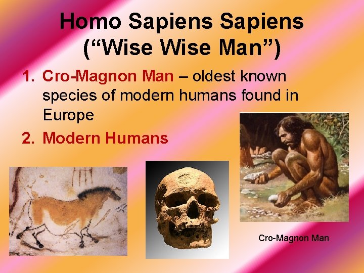 Homo Sapiens (“Wise Man”) 1. Cro-Magnon Man – oldest known species of modern humans
