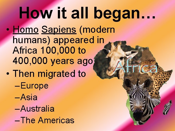 How it all began… • Homo Sapiens (modern humans) appeared in Africa 100, 000