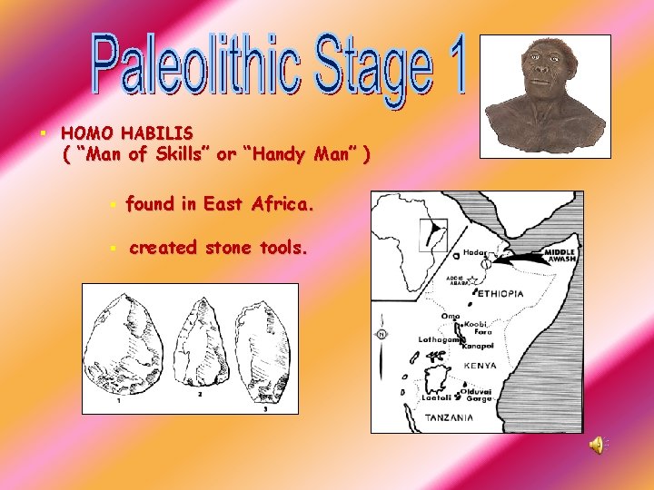 § HOMO HABILIS ( “Man of Skills” or “Handy Man” ) § found in
