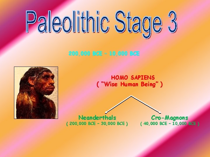200, 000 BCE – 10, 000 BCE HOMO SAPIENS ( “Wise Human Being” )