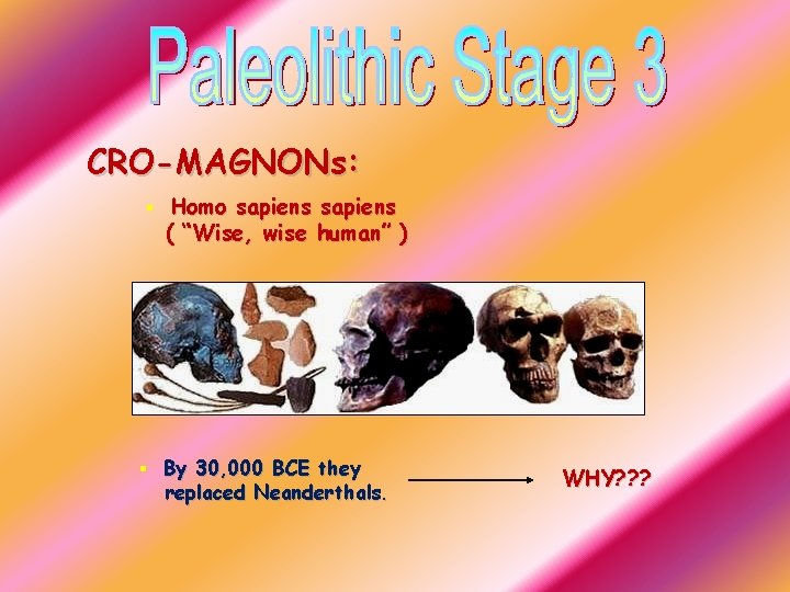 CRO-MAGNONs: § Homo sapiens ( “Wise, wise human” ) § By 30, 000 BCE