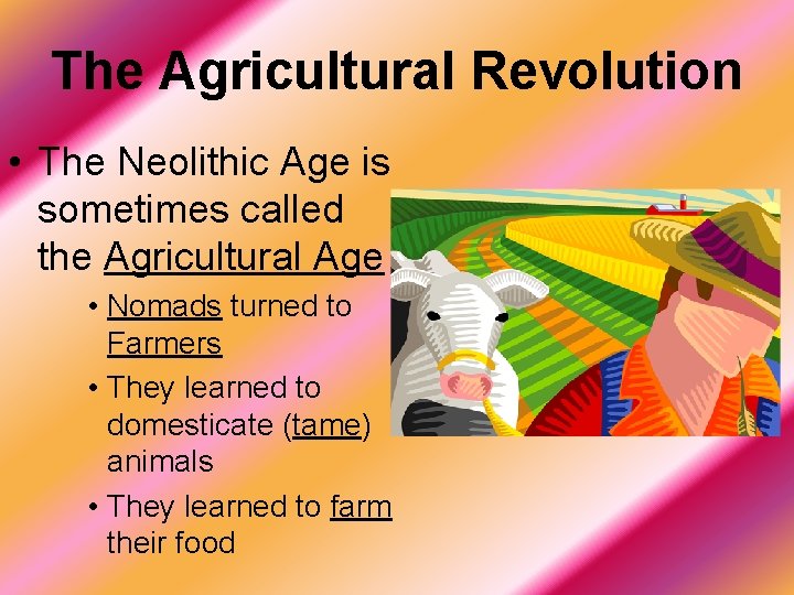 The Agricultural Revolution • The Neolithic Age is sometimes called the Agricultural Age •