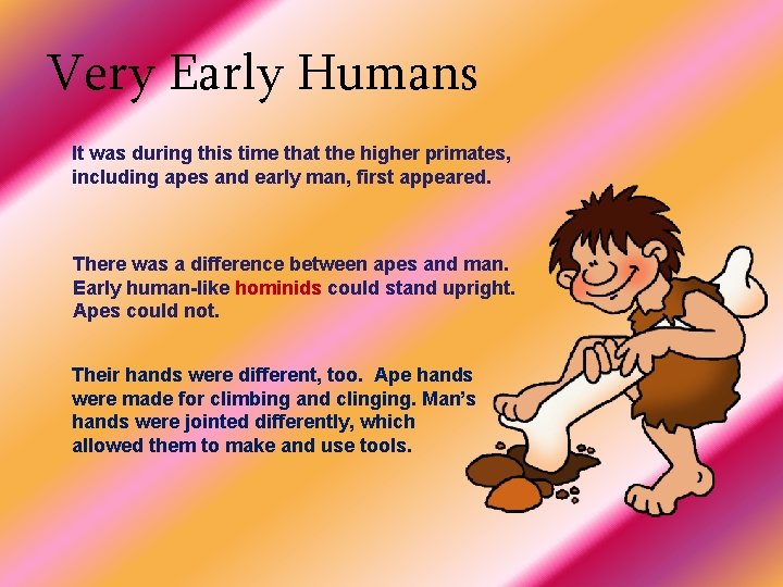 Very Early Humans It was during this time that the higher primates, including apes