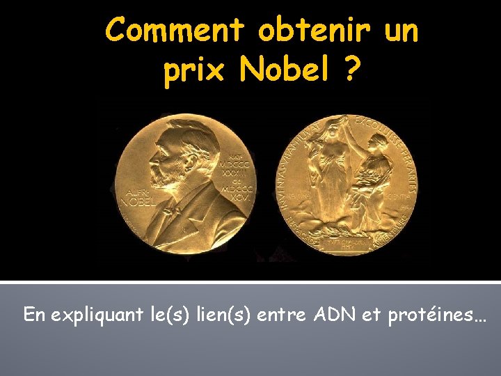 Comment obtenir un prix Nobel ? En expliquant le(s) lien(s) entre ADN et protéines…