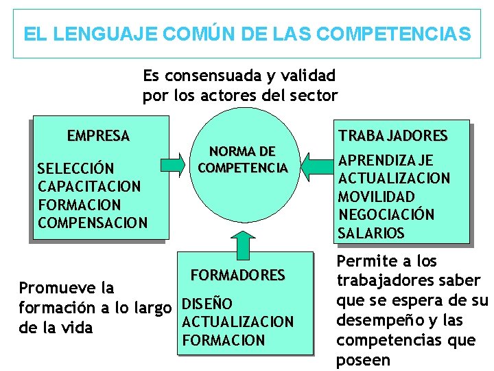 EL LENGUAJE COMÚN DE LAS COMPETENCIAS Es consensuada y validad por los actores del