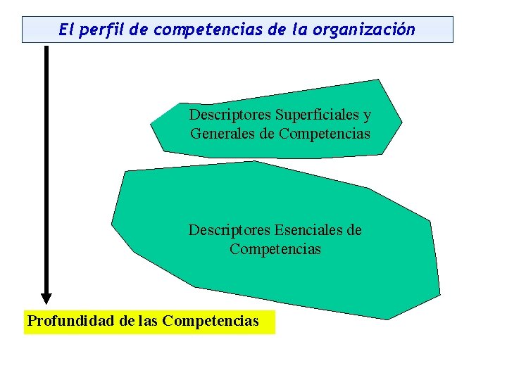 El perfil de competencias de la organización Descriptores Superficiales y Generales de Competencias Descriptores