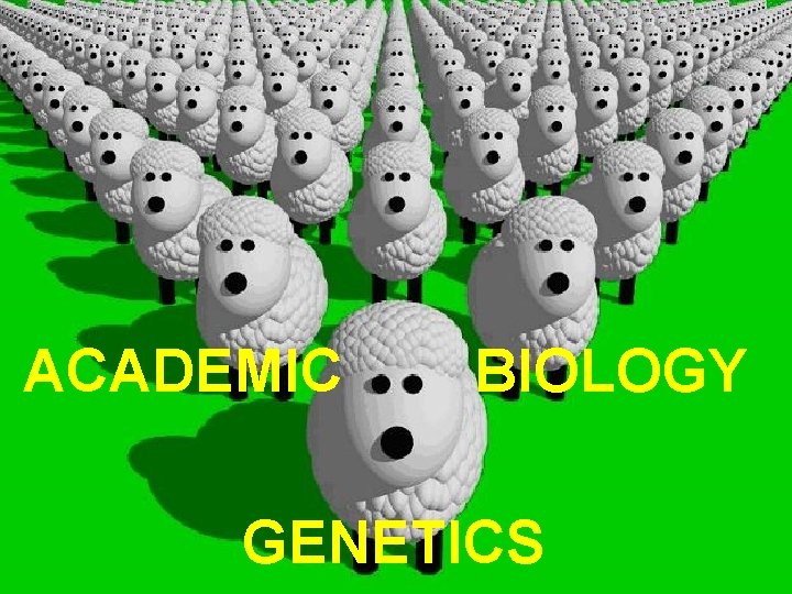 ACADEMIC BIOLOGY GENETICS 
