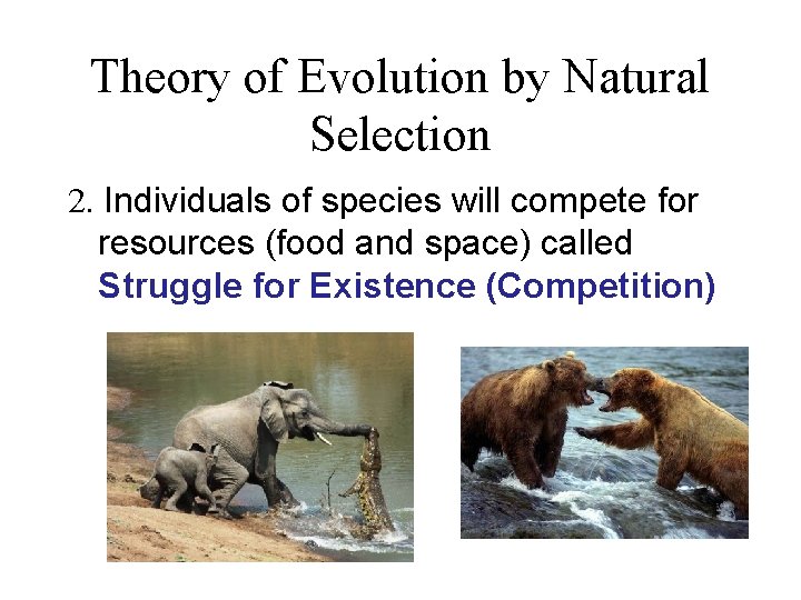 Theory of Evolution by Natural Selection 2. Individuals of species will compete for resources