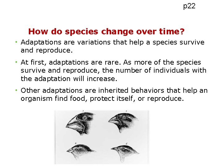 p 22 How do species change over time? • Adaptations are variations that help