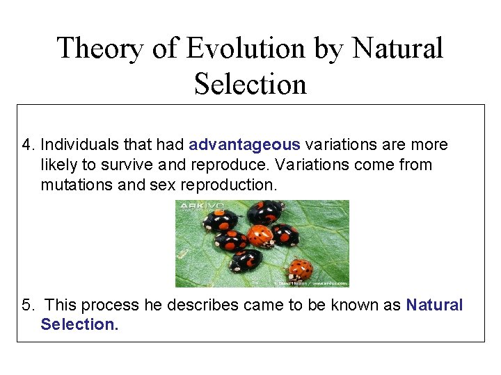 Theory of Evolution by Natural Selection 4. Individuals that had advantageous variations are more